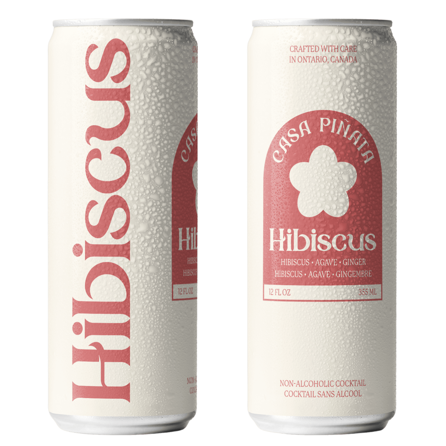 Casa Piรฑata Hibiscus Spritzer