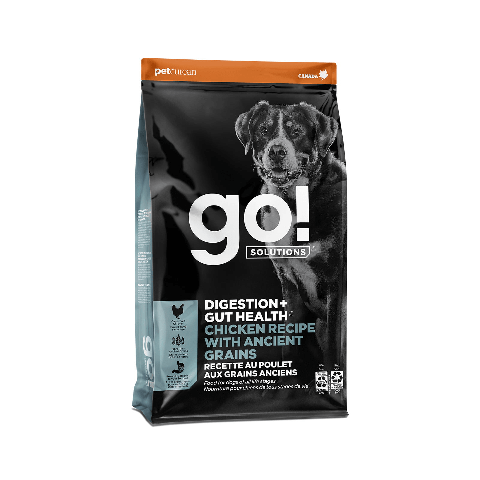 Go! Solutions Digestion + Gut Health Chicken Dry Dog Food with Grains