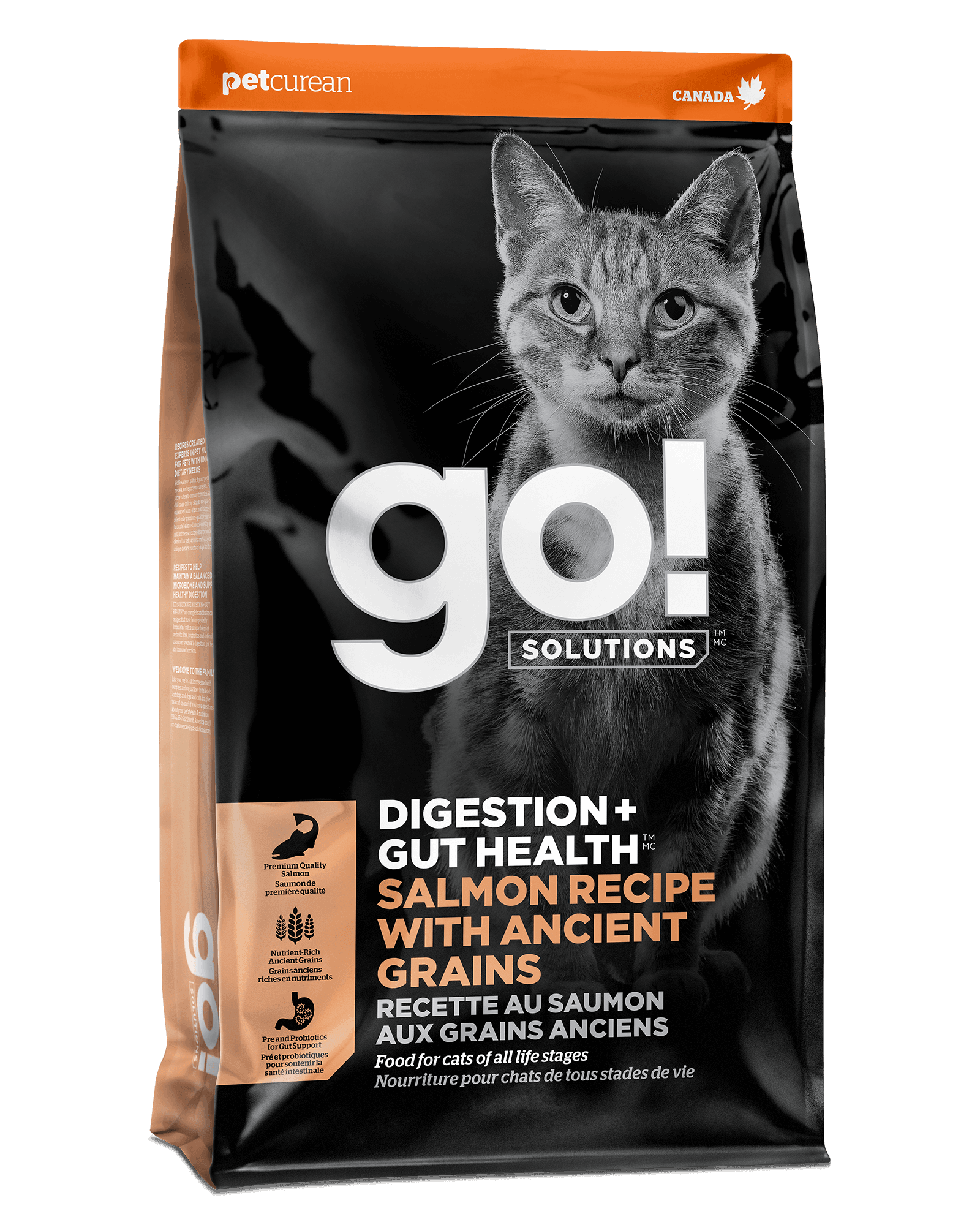Go! Solutions Digestion + Gut Health Salmon Recipe with Ancient Grains for Cats