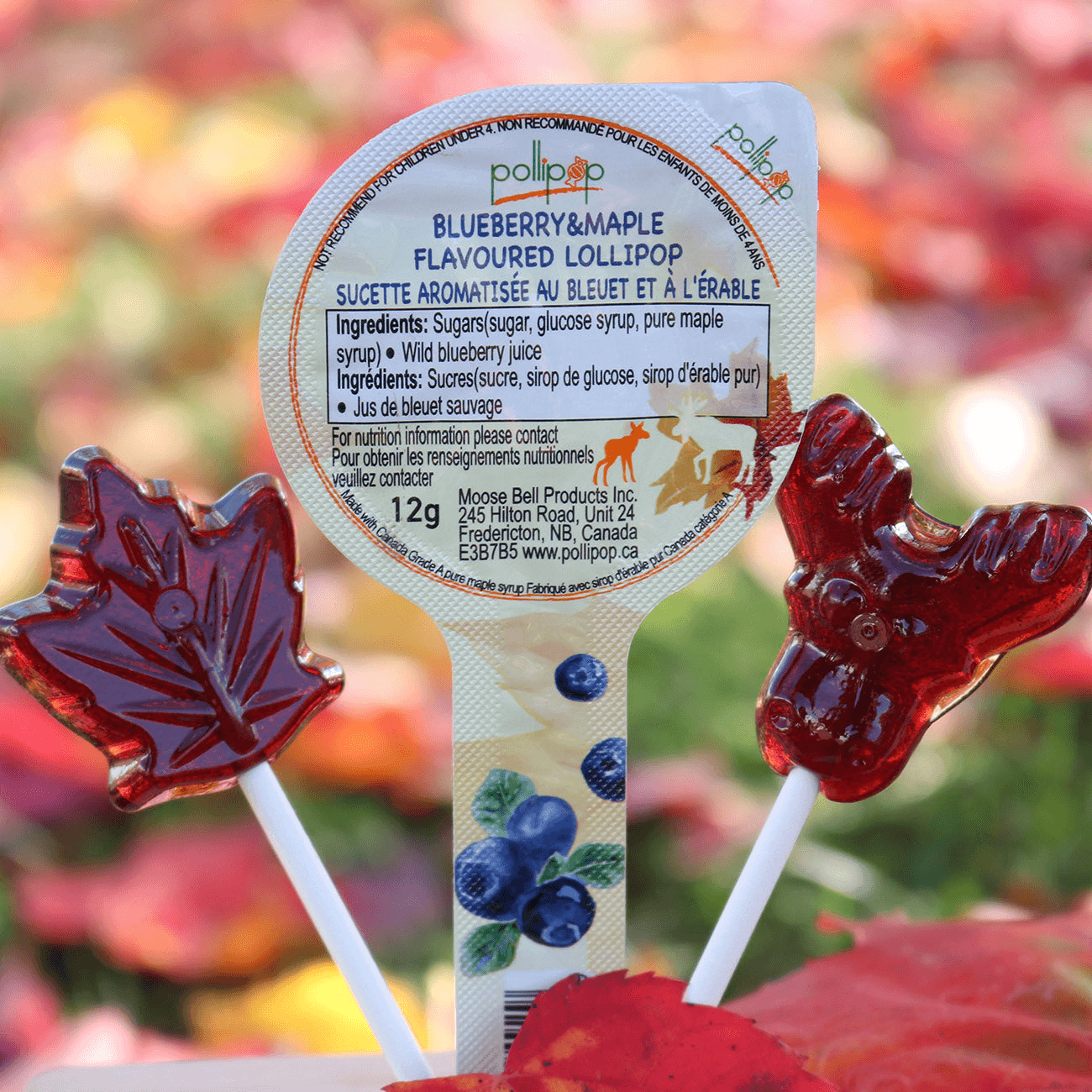 Pollipop Maple & Fruit Flavoured Lollipop