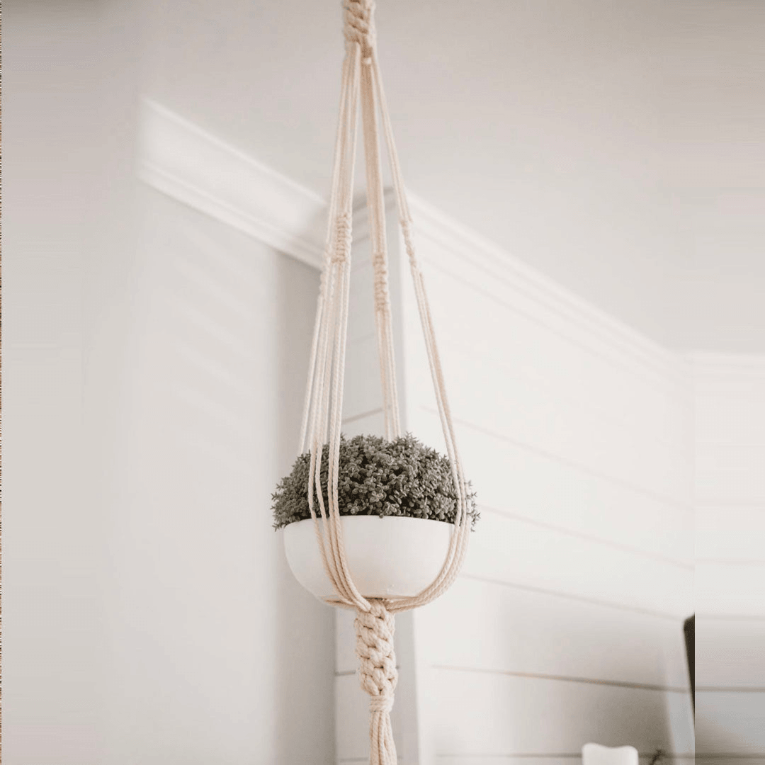 Boho Knots Macrame Plant Hangers