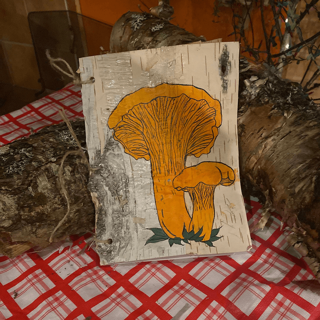 Beyond The Birch Birch Bark Notebook