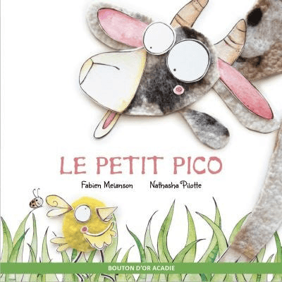 Bouton D'or Acadie Le Petit Pico