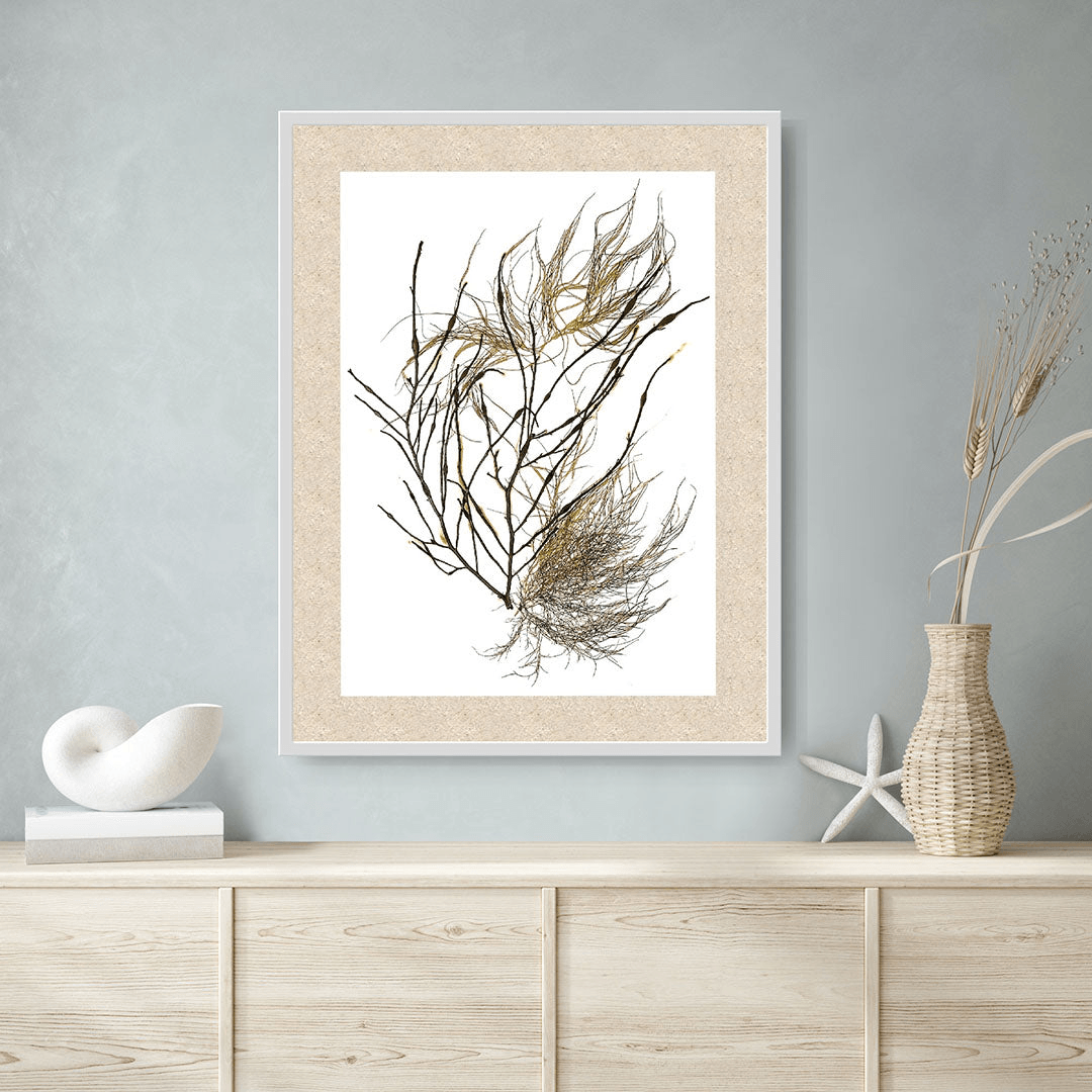 Atlantic Canadian Ocean Art