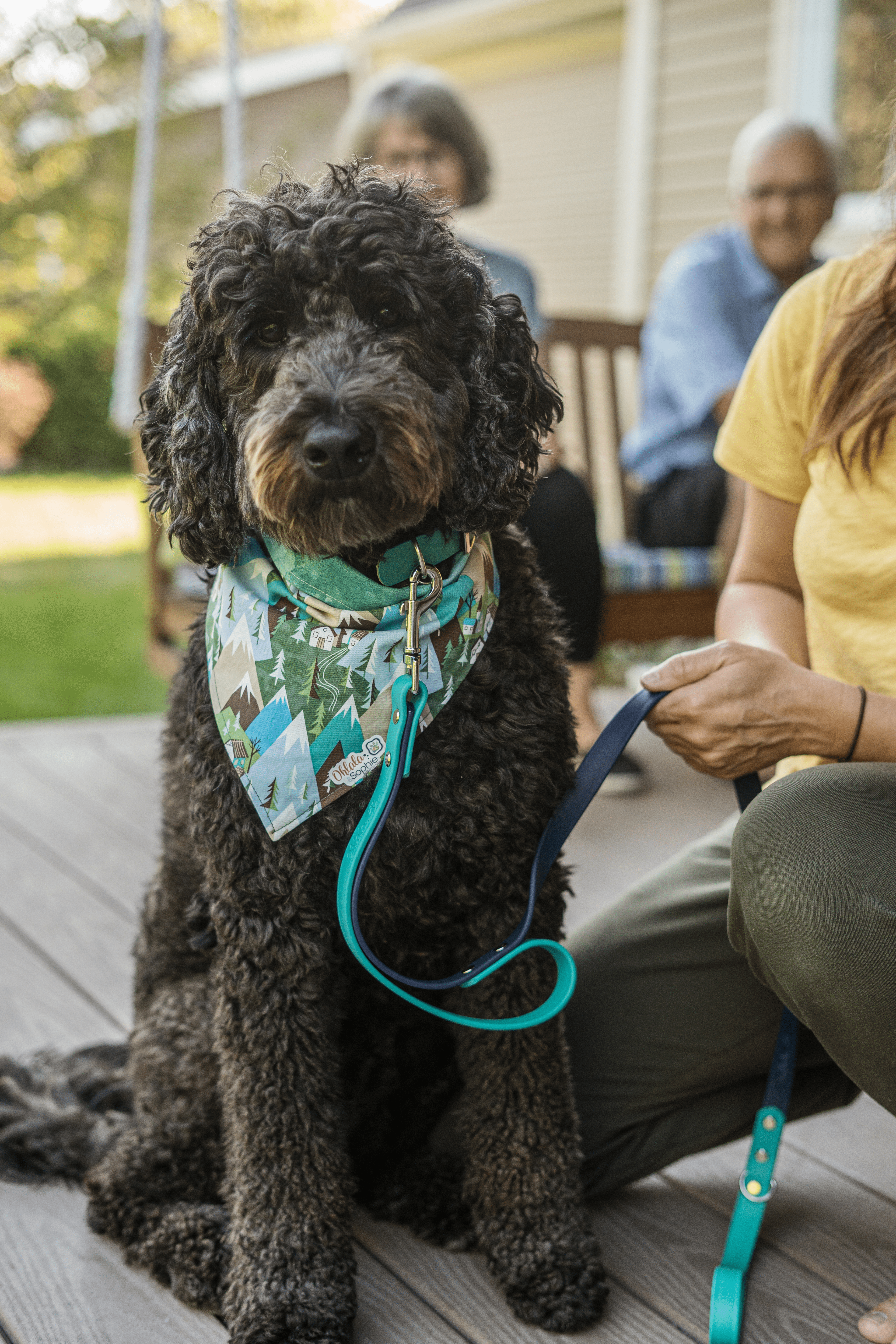 Ohlala de Sophie Pet Collars and Leashes