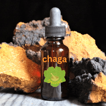 Fytology Herbal Tinctures & Teas