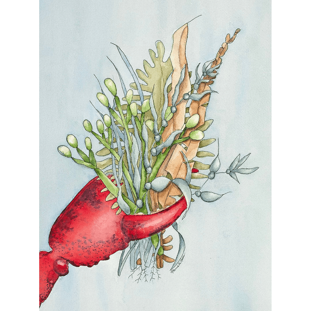 Greyfins Lobster & Seaweed Bouquet Giclee Print