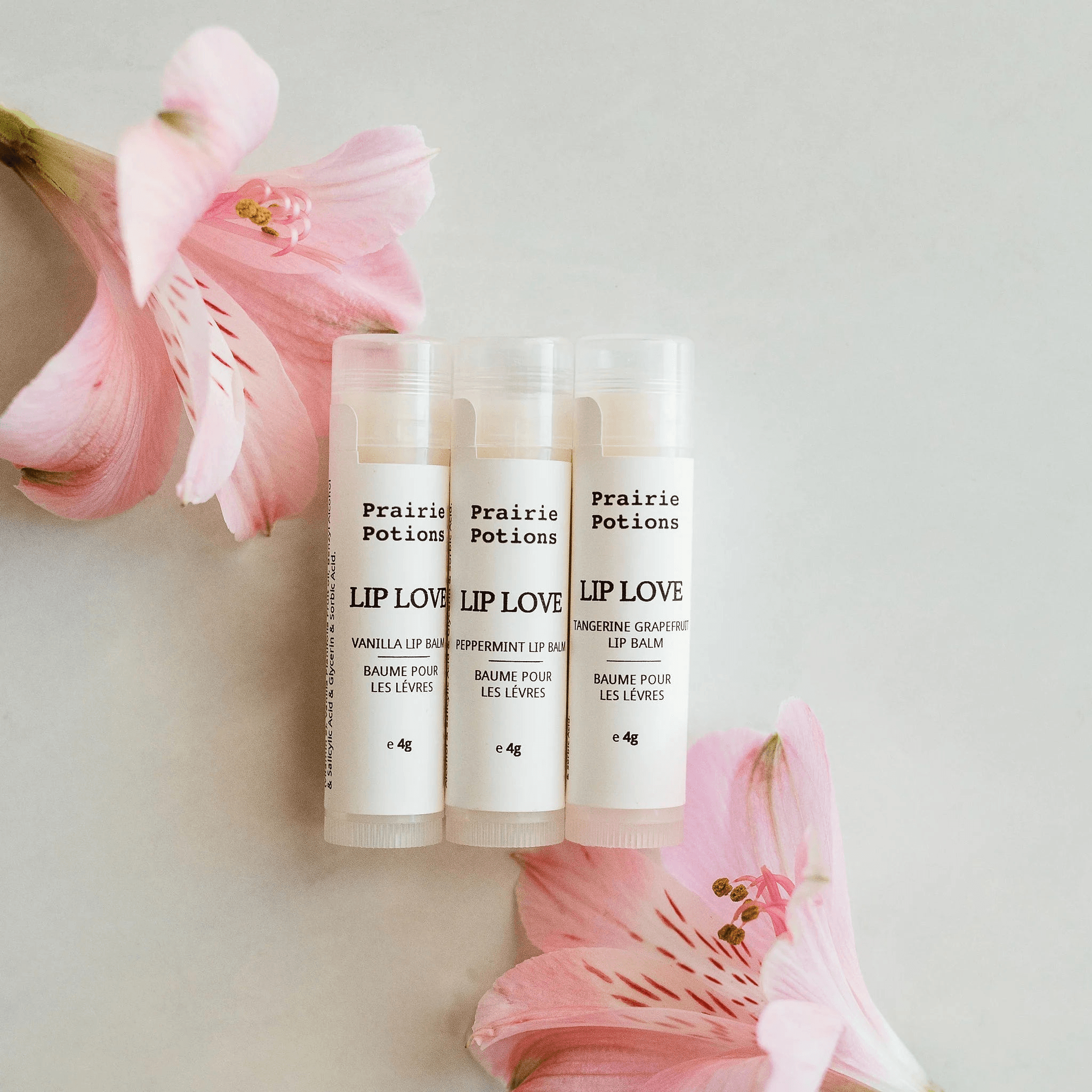 Prairie Potions - Lip Balm