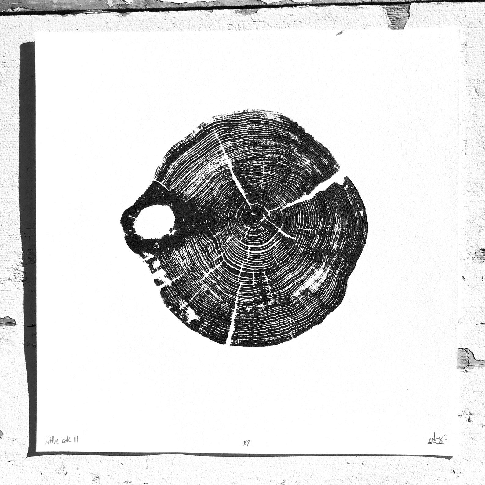 Nice Art People - Little Oak II Wood Print