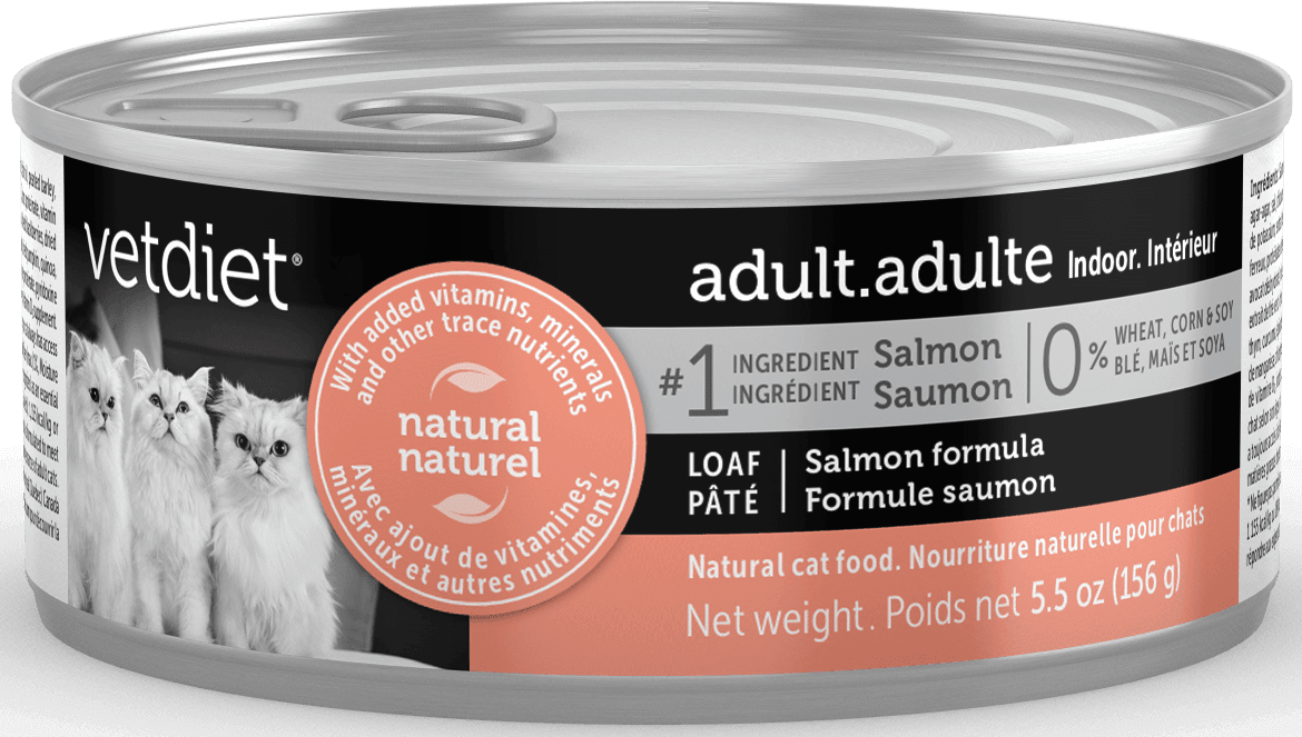 Vetdiet Adulte intérieur – saumon