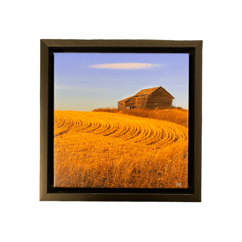 Debra Marshall Photography - Prairie Canvases