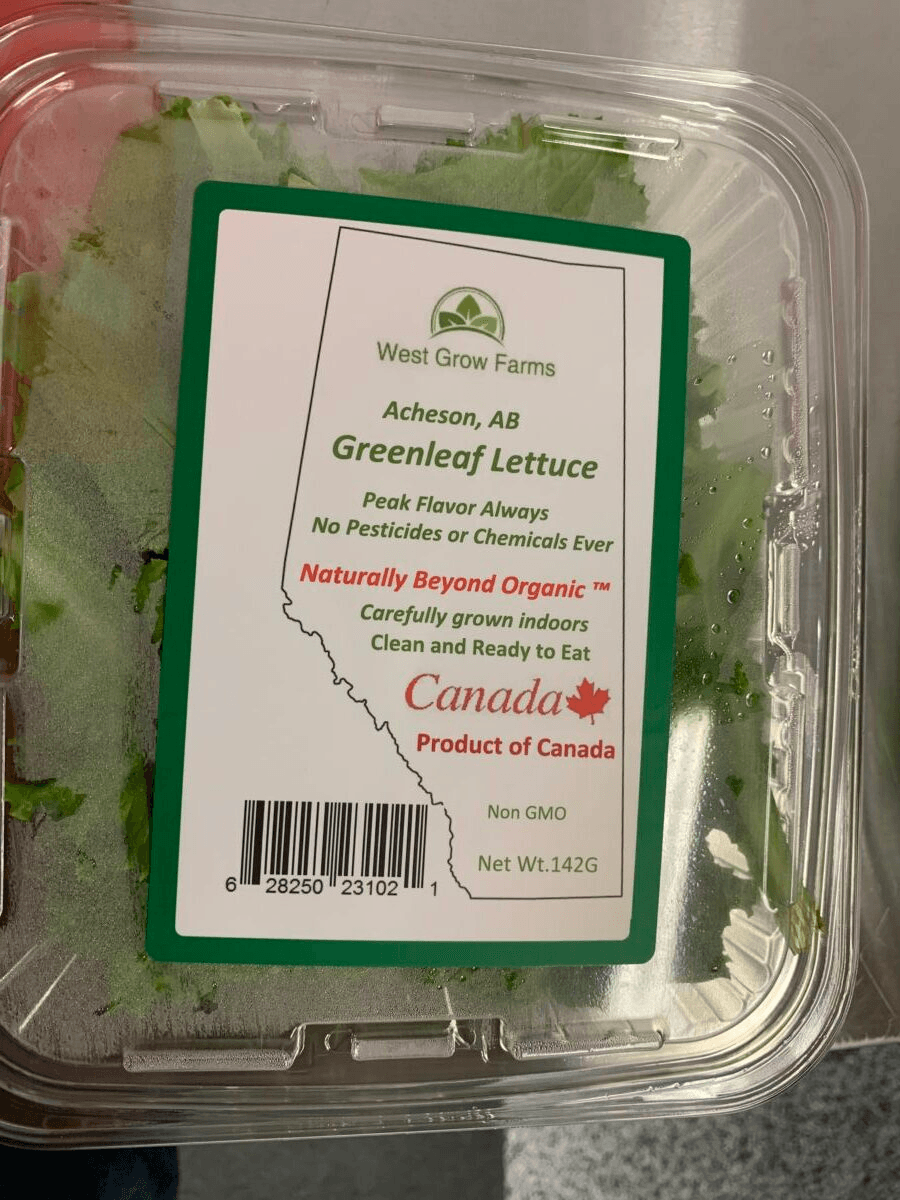West Grow Farms Green Leaf Lettuce