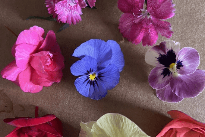 Bar OA Farms Edible Flowers