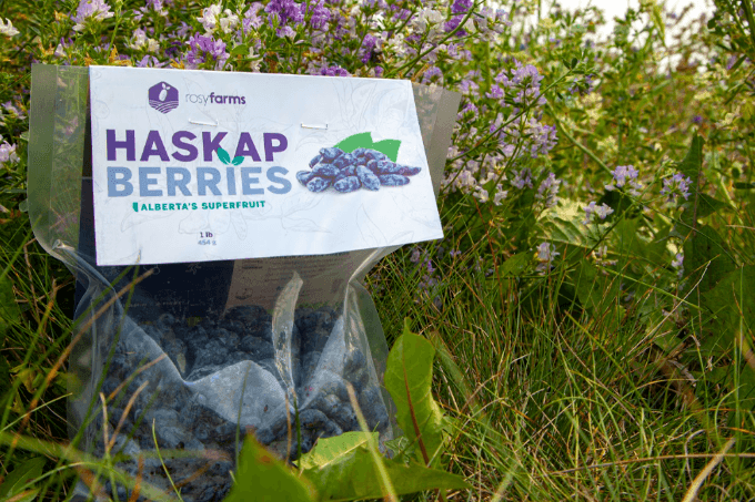 Rosy Farms Haskap Fruit