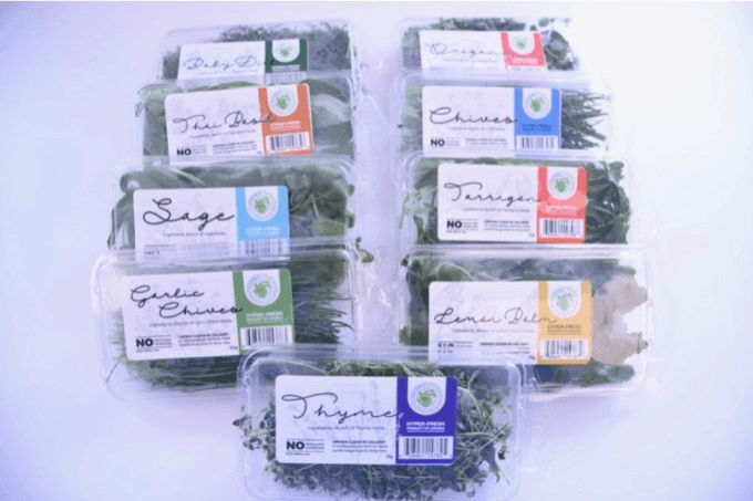 Hydragreens Assorted Cut Herbs