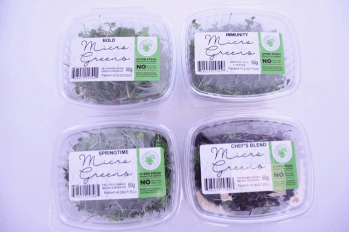 Hydragreens Assorted Microgreens