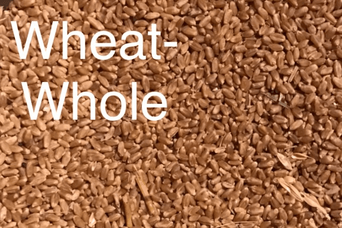 Whole Grains: Wheat, Peas and Barley