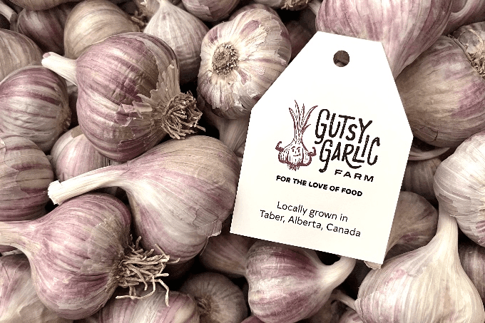 Gutsy Garlic Garlic Bulbs