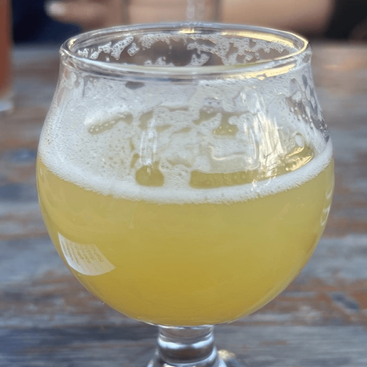 Campio Brewing Co. Risky Business Sour IPA