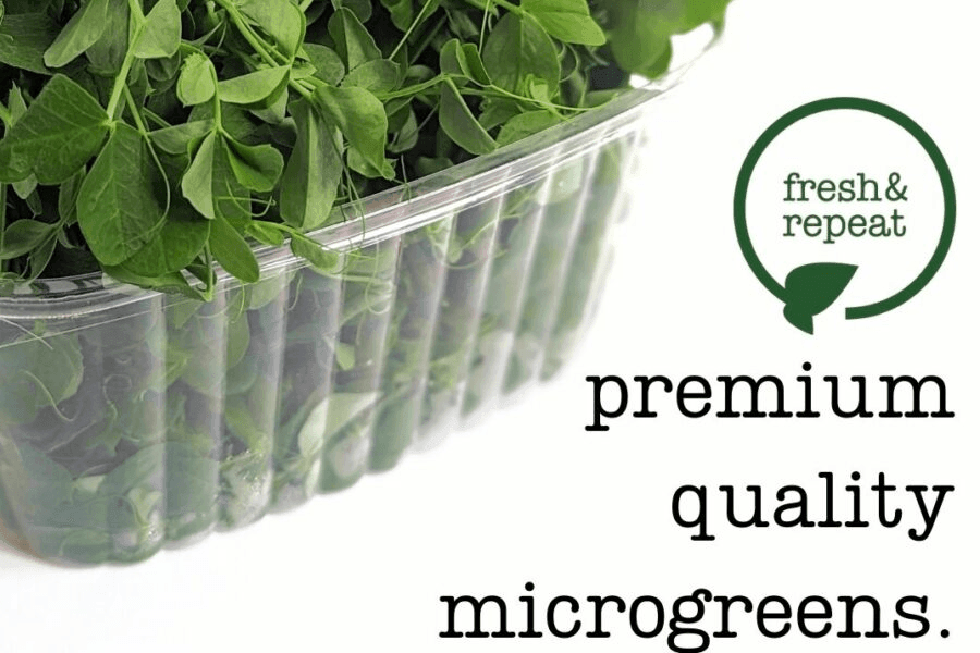 Fresh & Repeat Microgreens