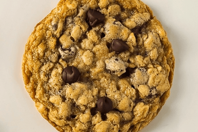 Canova Oatmeal Chocolate Chip Cookie