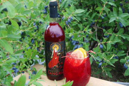 Token Bitters Distemperance Mulled Haskap Mocktail
