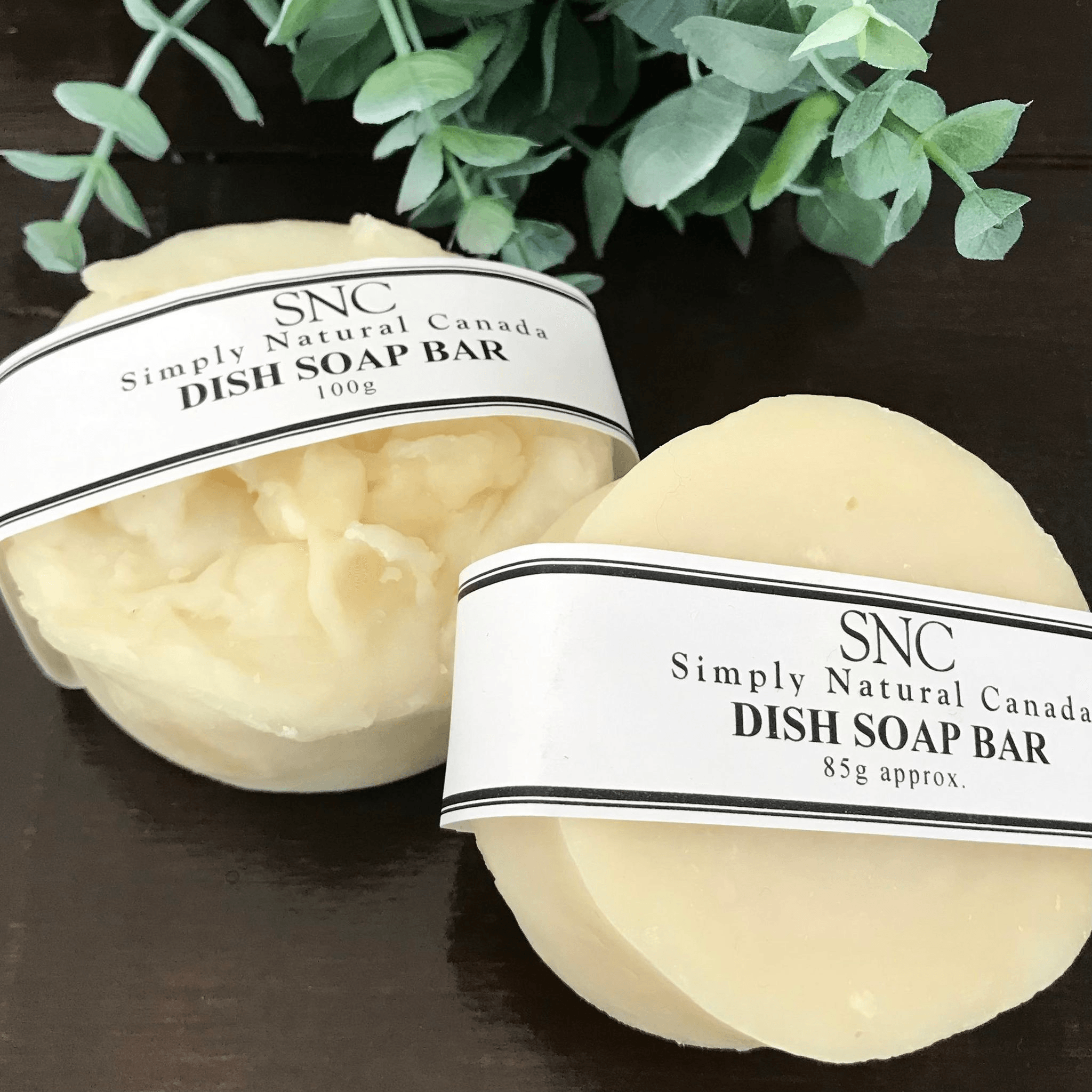 Simply Natural Dish Soap Bar