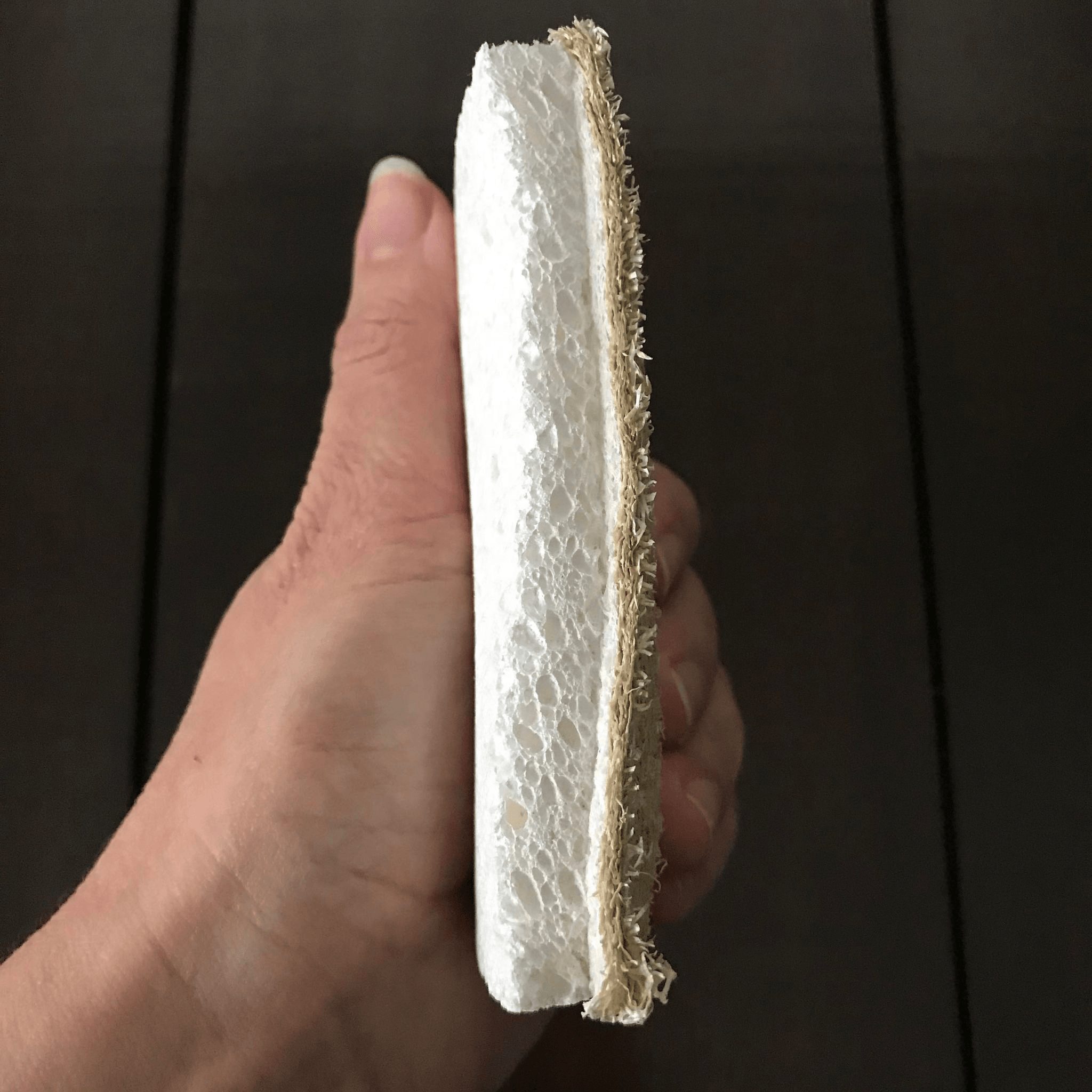Plantish Compostable Kitchen Scrubber Sponge
