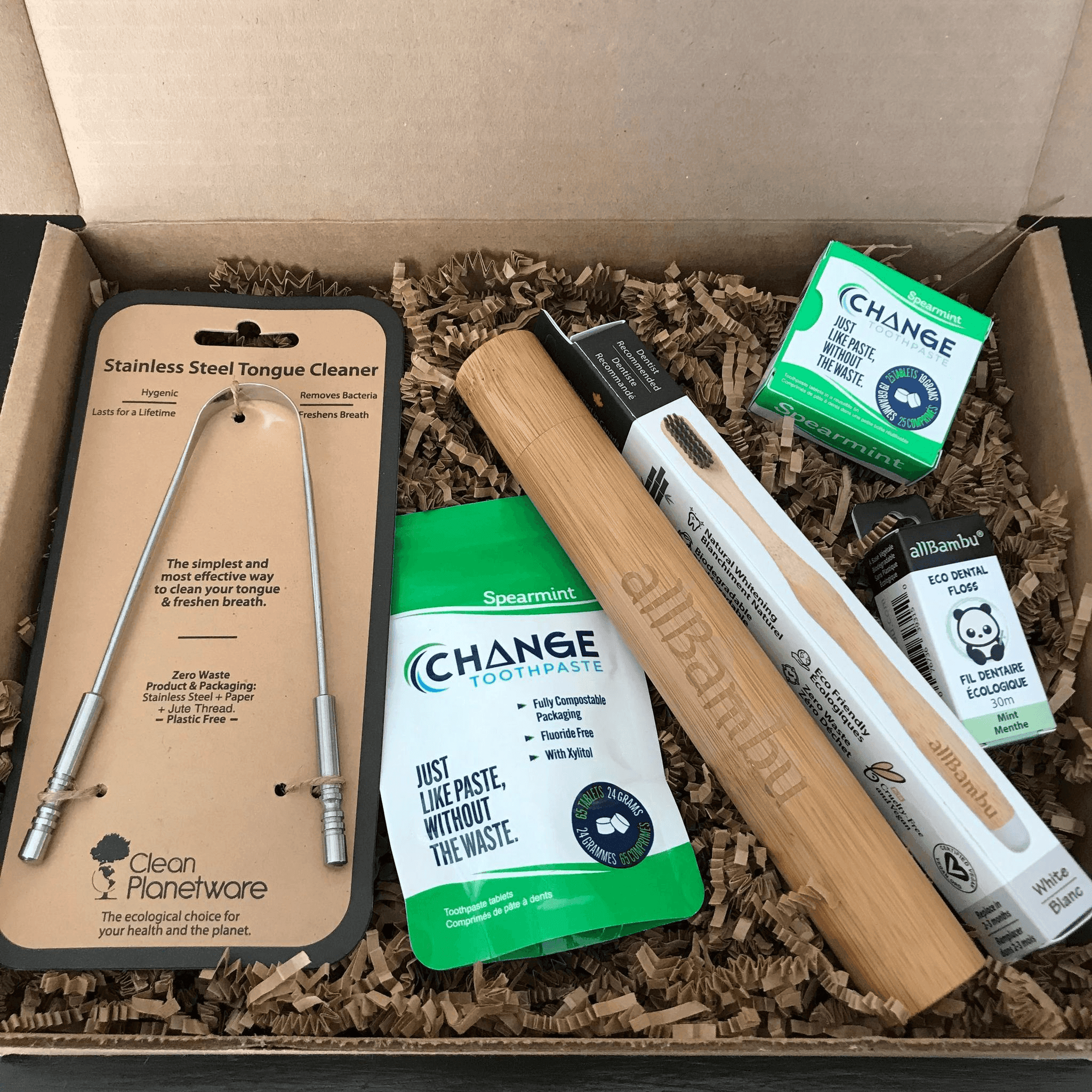 Change Toothpaste Spearmint Oral Care Kit
