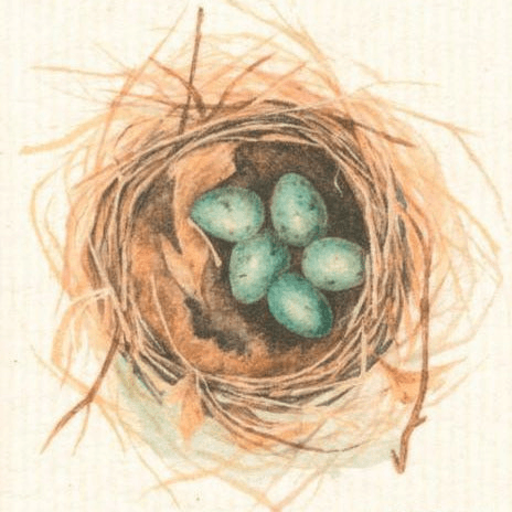 Bird's Nest More Joy Dishcloth