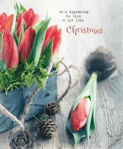 More Joy Christmas Tulips Swedish Dishcloth