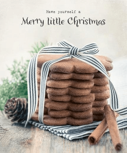 More Joy Merry Little Christmas Swedish Dishcloth