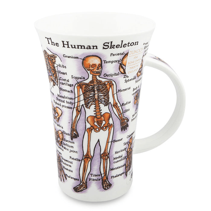 Dunoon Glencoe, The Human Body Mug