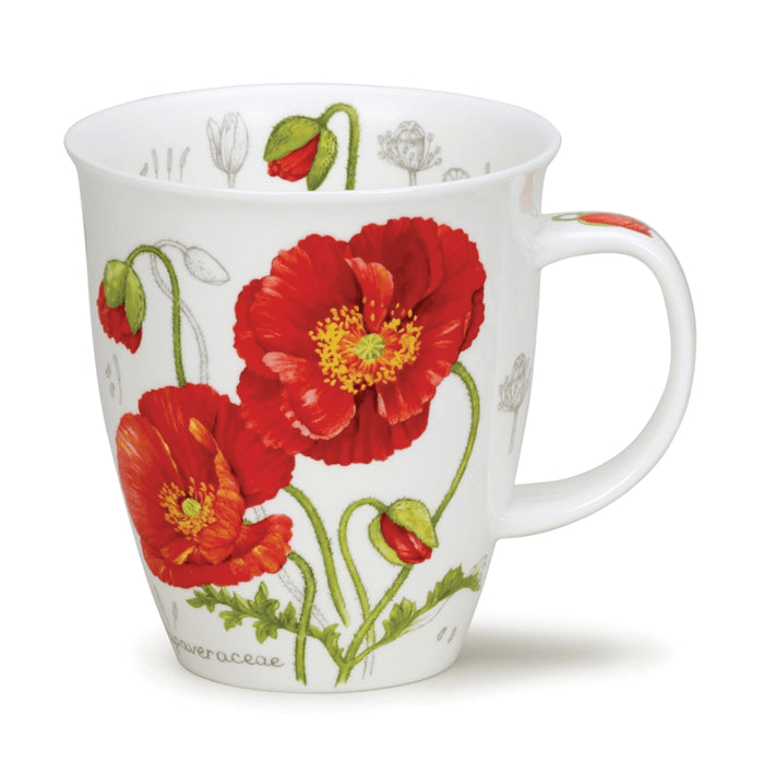Dunoon Nevis, Botanical Sketch Poppy