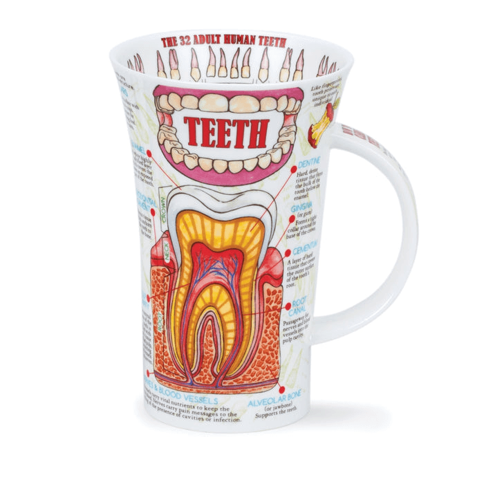Dunoon Mug, Glencoe, Teeth by Dunoon