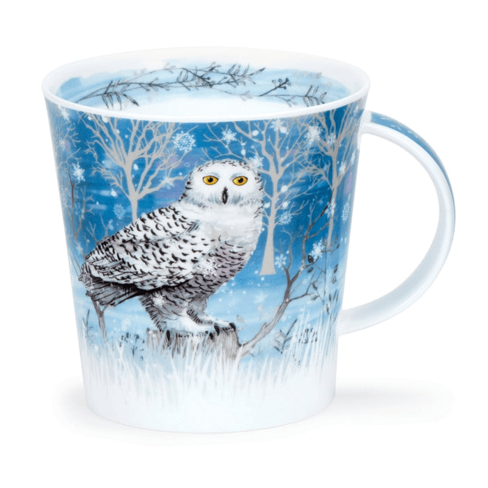 Dunoon Cairngorm Moonlight Owl Mug