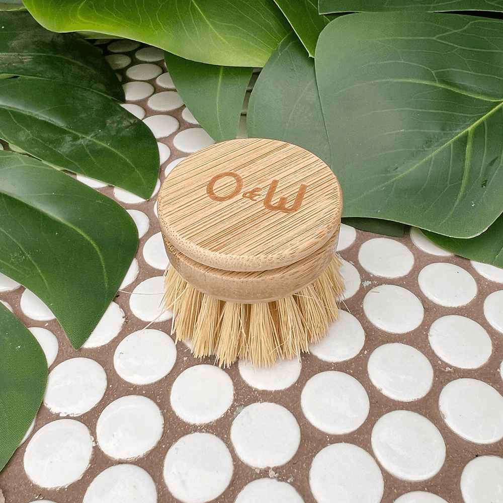 Oak & Willow Refill Head - Eco-Friendly Dish Brush
