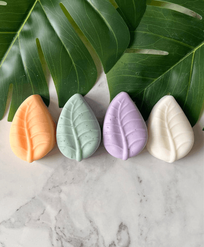 Oak & Willow Solid Conditioner