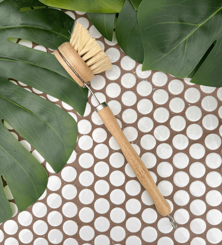Eco-friendly Dish Brush