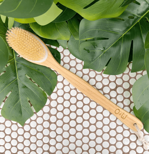 Body Brush | Oak & Willow