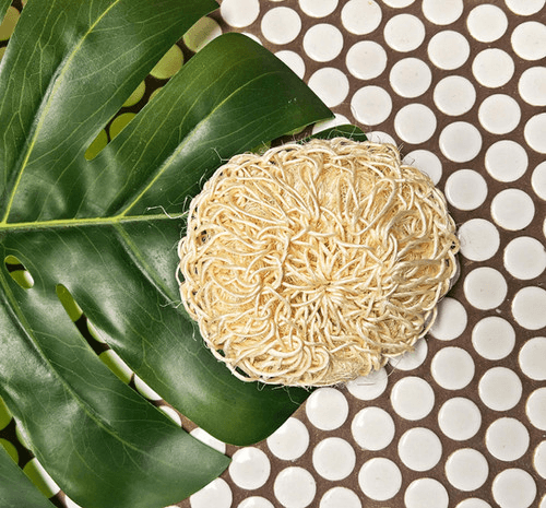 Oak & Willow Sisal Shower Sponge