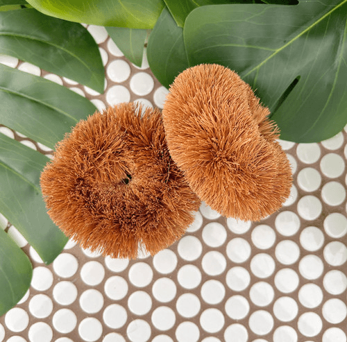 Coconut Scrubbies