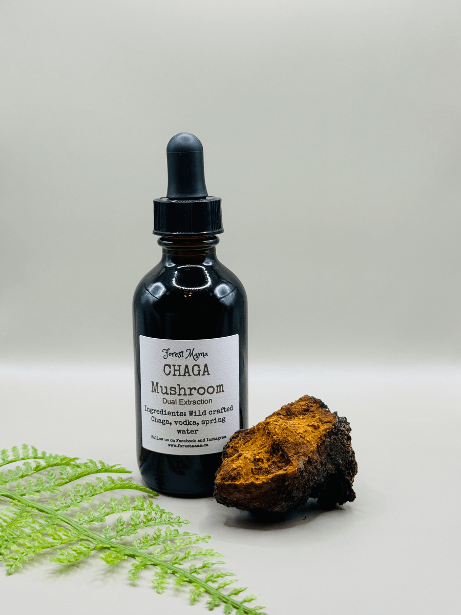 Pure Wash Chaga Tincture