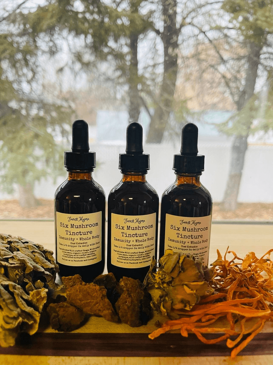 Pure Wash Six Mushroom Tincture