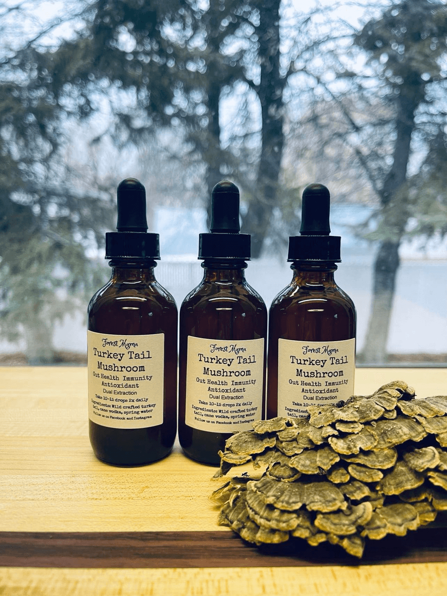 Pure Wash Turkey Tail Tincture