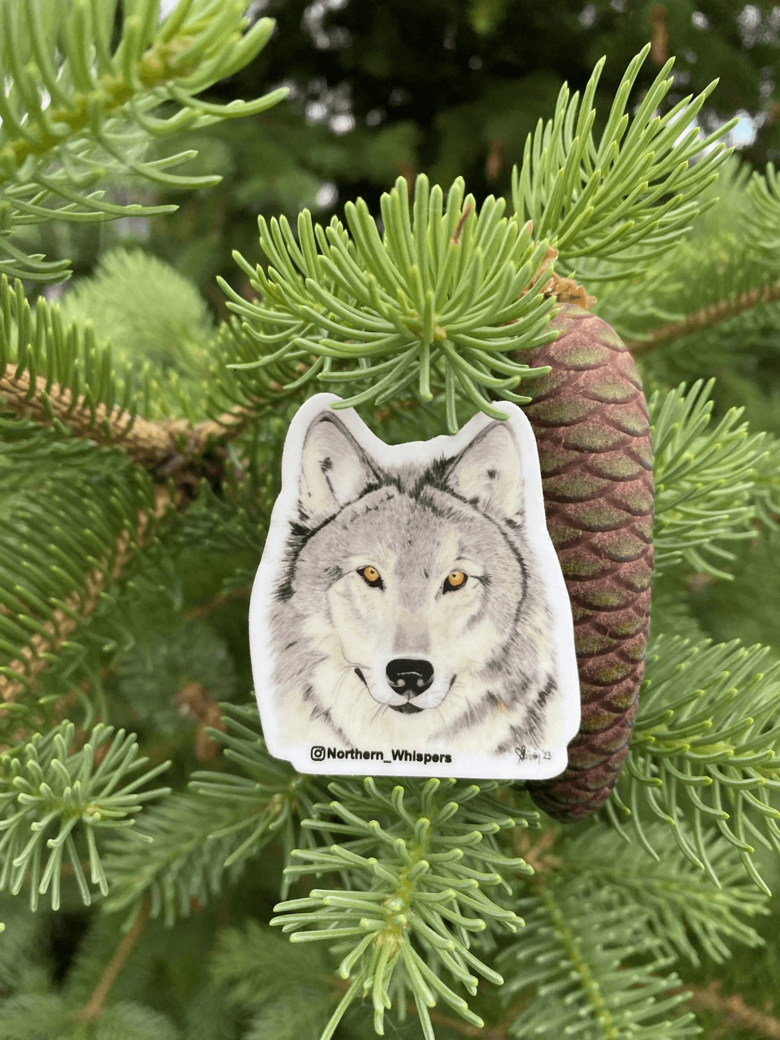 Survival of the Fittest - Pure Wash