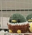 Chonky Mallard