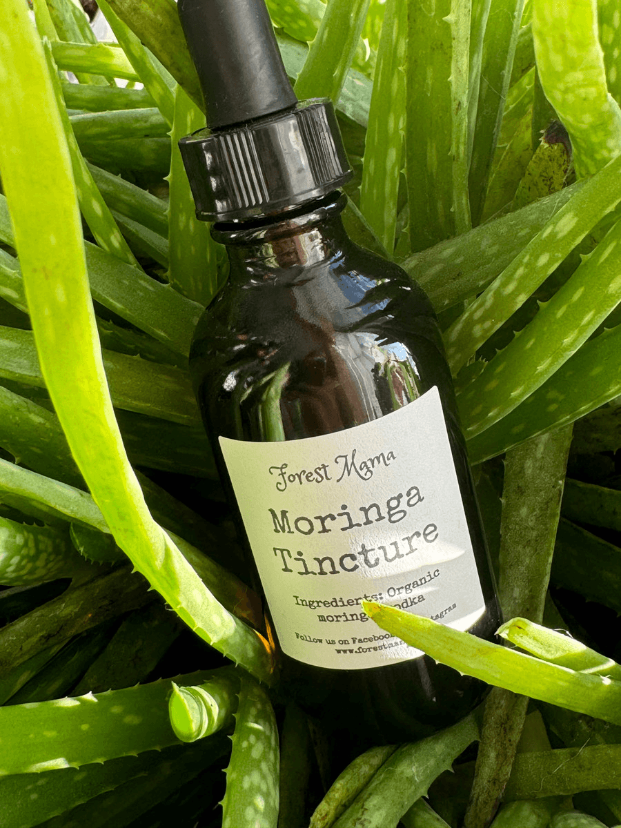 Moringa Tincture