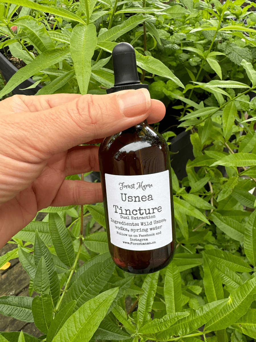 Usnea Tincture