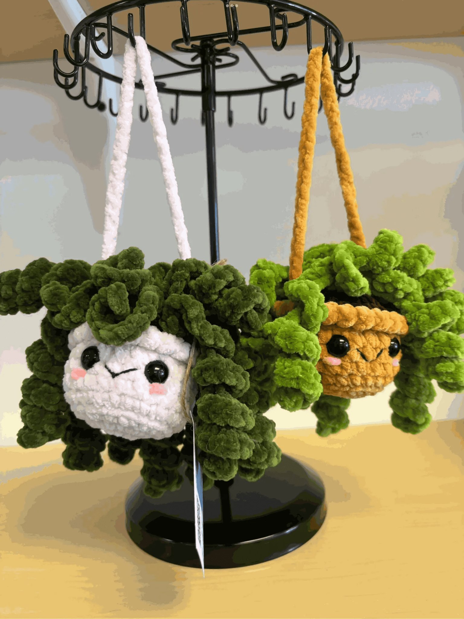 Hanging Plant - Curly